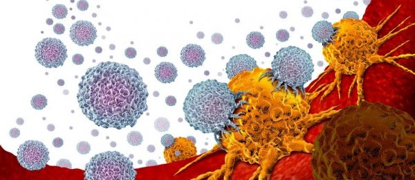 A new trial of an immunotherapy drug effect on Prostate Cancer
