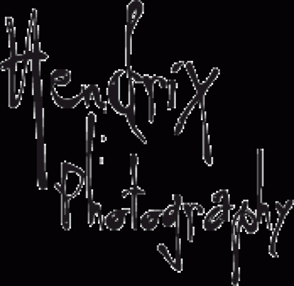 Hendrix Photography logo